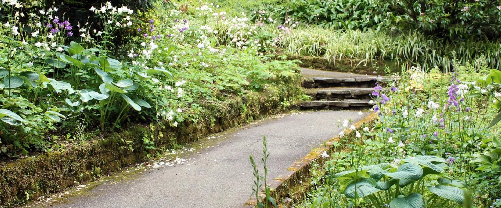 Nell'immagine, una stradina con tre scalini circondata da vegetazione.